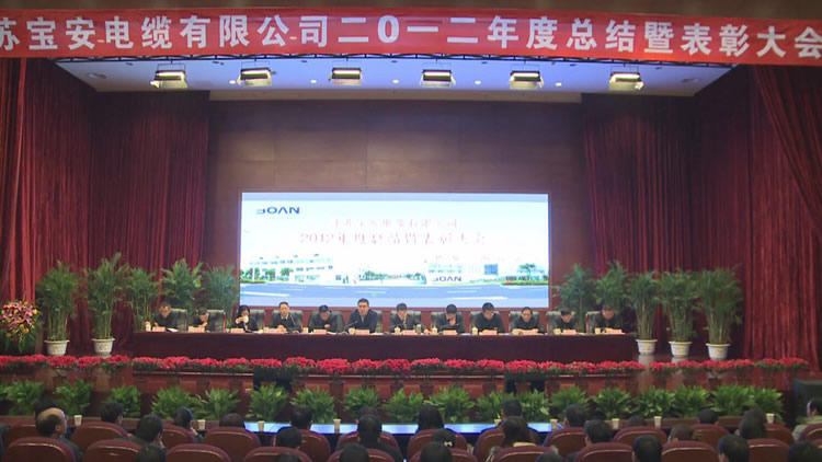 江蘇寶安電纜有限公司2012年度總結暨表彰大會隆(圖1)