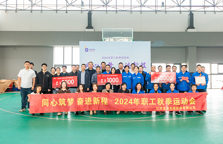 同心筑夢(mèng) 奮進(jìn)新程——寶安控股2024年職工秋季運(yùn)動(dòng)會(huì)圓滿(mǎn)舉辦